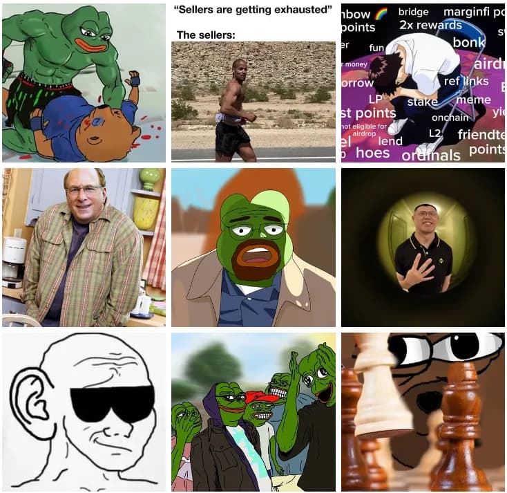 Collection of crypto memes including Pepe, Wojak, and more