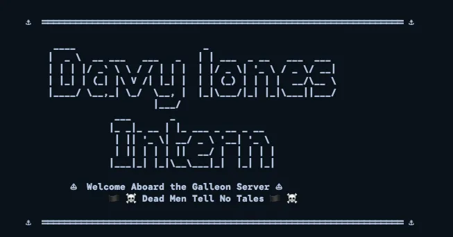 Terminal showing the home server loading